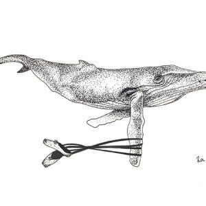 Whale - Original