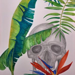 grafito-acuarela-dibujo-anatomico-botanico